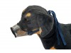 KIT Completo de Focinheira para Cães - ESPECIAL PARA HOSPITAIS E CLÍNICAS VETERINÁRIAS 